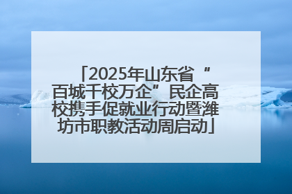 2025年山东省“百城千校万企”民企高校携手促就业行动暨潍坊市职教活动周启动