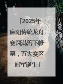 2025年麻阳传统龙舟赛圆满落下帷幕，五大赛区冠军诞生