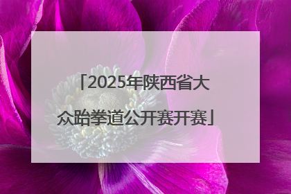 2025年陕西省大众跆拳道公开赛开赛