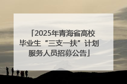 2025年青海省高校毕业生“三支一扶”计划服务人员招募公告