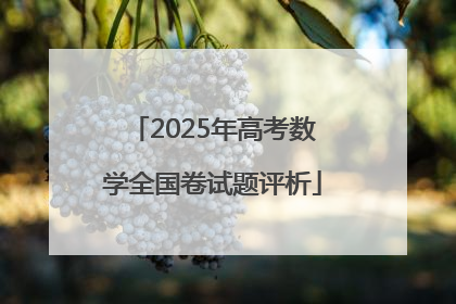 2025年高考数学全国卷试题评析
