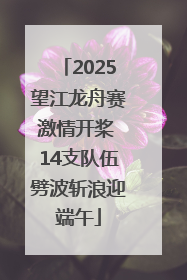 2025望江龙舟赛激情开桨 14支队伍劈波斩浪迎端午
