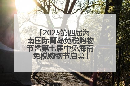 2025第四届海南国际离岛免税购物节暨第七届中免海南免税购物节启幕