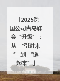 2025跨国公司青岛峰会“升级”：从 “引进来” 到 “链起来”