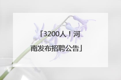 3200人！河南发布招聘公告
