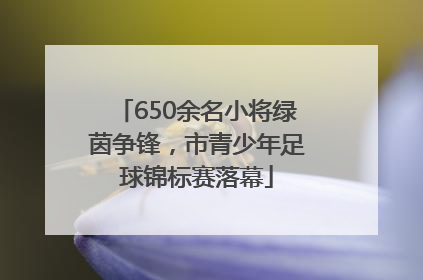 650余名小将绿茵争锋，市青少年足球锦标赛落幕