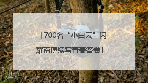 700名“小白云”闪耀南博续写青春答卷
