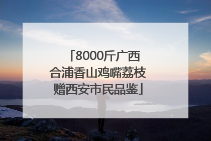 8000斤广西合浦香山鸡嘴荔枝赠西安市民品鉴