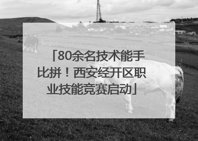 80余名技术能手比拼！西安经开区职业技能竞赛启动