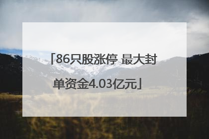 86只股涨停 最大封单资金4.03亿元