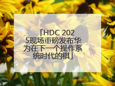 HDC 2025现场重磅发布华为在下一个操作系统时代的棋