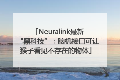 Neuralink最新“黑科技”：脑机接口可让猴子看见不存在的物体